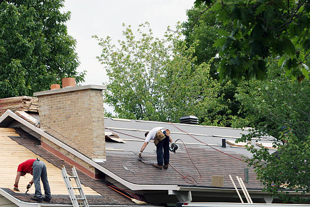 Best Storm Damage Roof Repair  in Jackson, MS