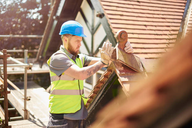 Best Metal Roofing Contractor  in Jackson, MS
